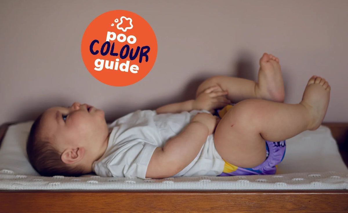 Le Guide des Couleurs des Selles de Bébé - Ce que Tout Parent Doit Savoir