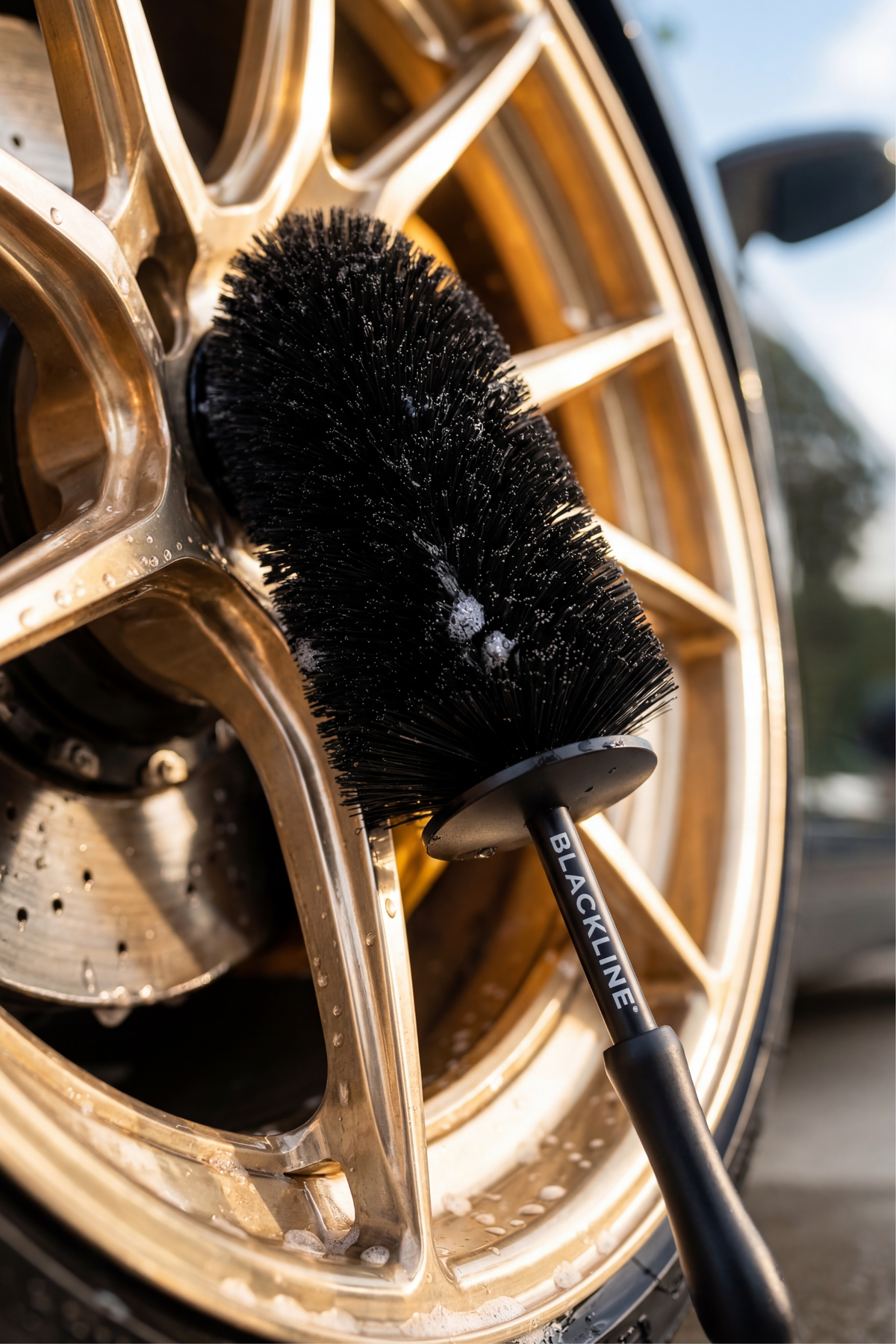 Wheel Barrel Brush cleaning the back of a wheel.