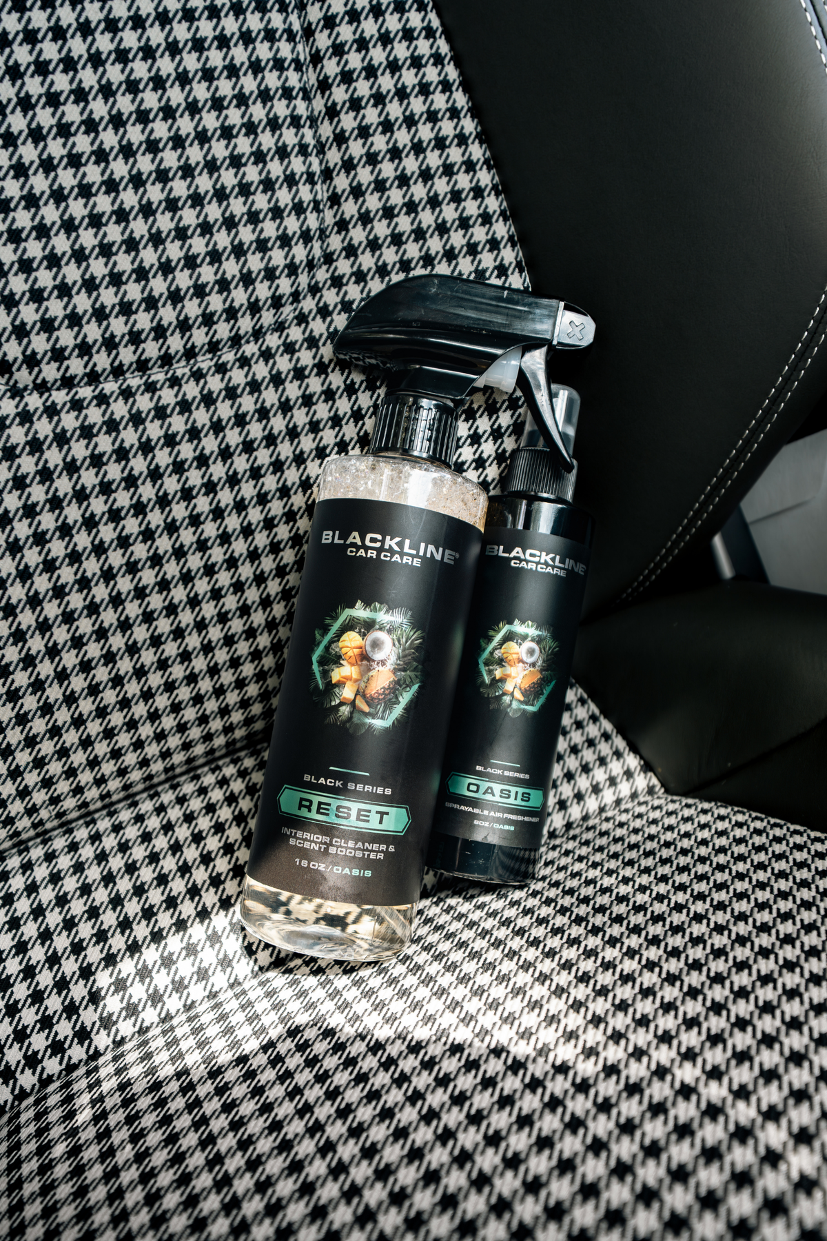 Blackline Reset Oasis interior cleaner duo posed near a Porsche.